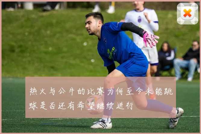 热火与公牛的比赛为何至今未能跳球是否还有希望继续进行