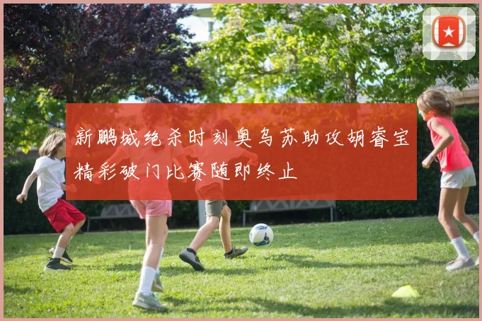 新鹏城绝杀时刻奥乌苏助攻胡睿宝精彩破门比赛随即终止